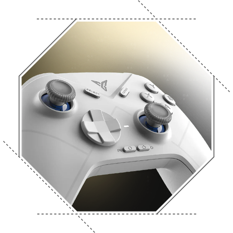 Expanded Flydigi Support